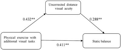 The impact of additional visual tasks in physical exercise on balance ability among 9–10-year-old children: the mediating effect of visual acuity